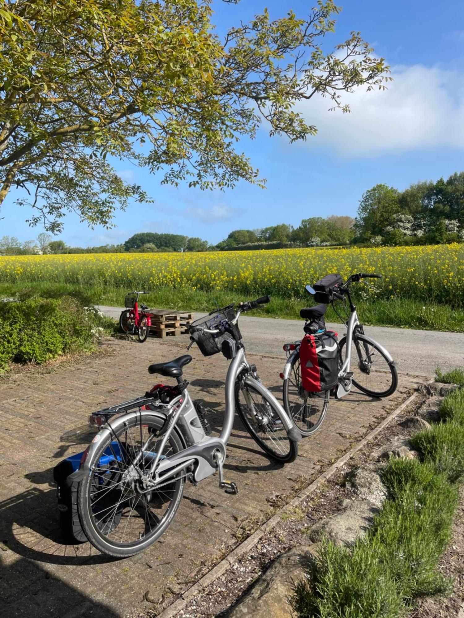 Blackberryhouse Ærøskøbing Dış mekan fotoğraf