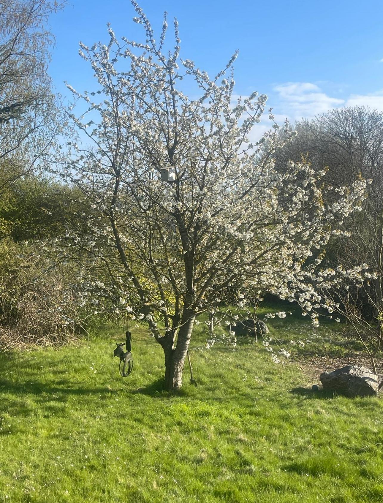 Blackberryhouse Ærøskøbing Dış mekan fotoğraf