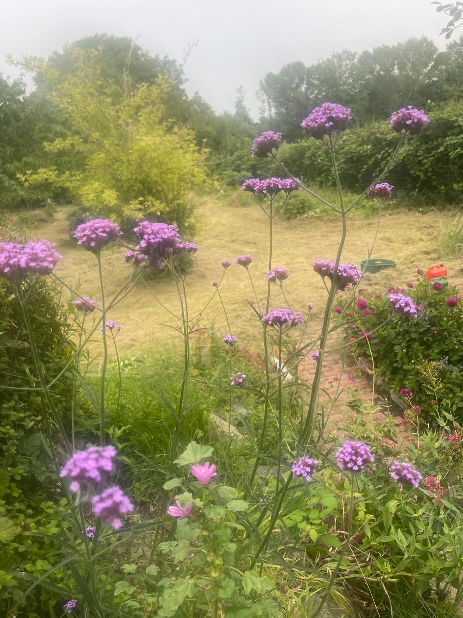 Blackberryhouse Ærøskøbing Dış mekan fotoğraf